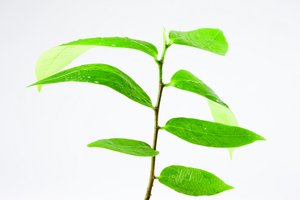系统管理者的必修课